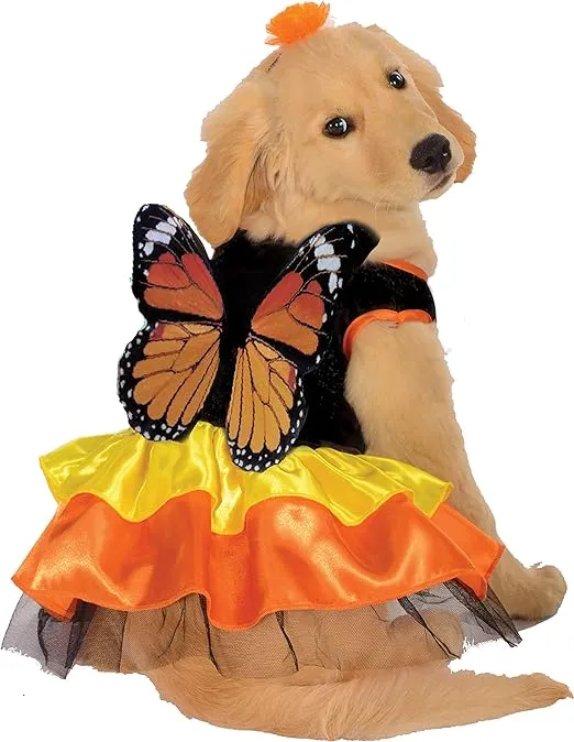 Rubie's Monarch Butterfly Pet Costume, Small