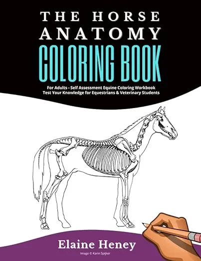 Horse Anatomy Coloring Book For Adults - Self Assessment Equine Coloring Workbook: Test Your Knowledge - For Equestrians & Veterinary Students