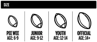 Wilson NFL Mini Autograph Football - Mini, Brown/White