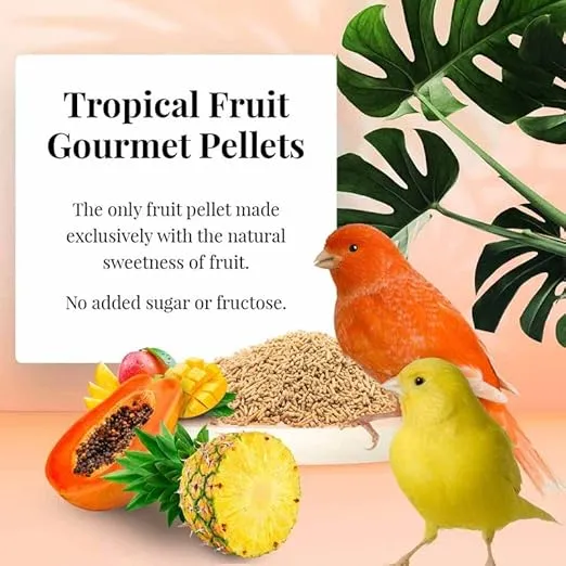 LAFEBER'S Premium Daily Diet Pellets Pet Bird Food, Made with Non-GMO and Human-Grade Ingredients, for Canaries (Tropical Fruit, 1.25 Ib Pack of 2)