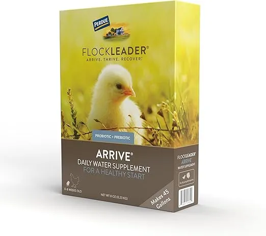 Arrive, Daily Probiotic & Prebiotic Water Supplement for Young Chickens 0-8 Weeks Old, 8 oz