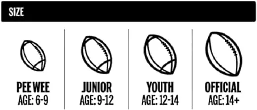 Wilson NFL Mini Autograph Football - Mini, Brown/White