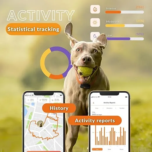 Weenect Dog XS - New GPS Tracker for Dogs | Real-time Mini GPS Tracker for Dogs | Waterproof | Smallest Model on The Market | Including Free 3 Months Subscription