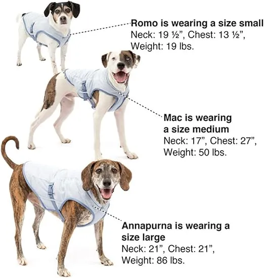 Kurgo Dog Core Cooling Vest, Cooling Jacket for Dogs, Evaporation Cooler Coat for Pets, Reflective Material, Adjustable Straps, Works with Harnesses & Collars, Heat Reflective (Medium)