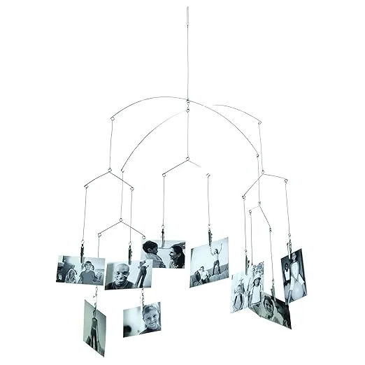 Kikkerland Floating Hanging Photo Display, Photo Hanger Picture Collage, Wall Bedroom Decor, Customizable & Unique Display, Chrome Plated Steel