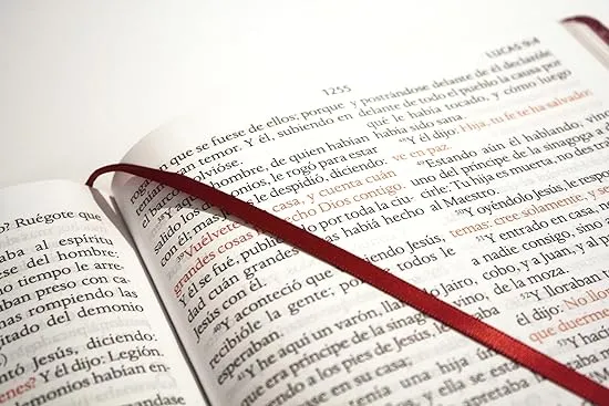 Biblia Reina Valera letra súper gigante, símil piel vinotinto / Spanish Bible Re ina Valera Super Giant Print, Burgundy Leathersoft