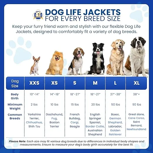 Paws Aboard Dog Life Jacket - Keep Your Canine Safe with a Nylon Life Vest - Designer Life Jackets - Perfect for Swimming and Boating - Racing Flames, Medium