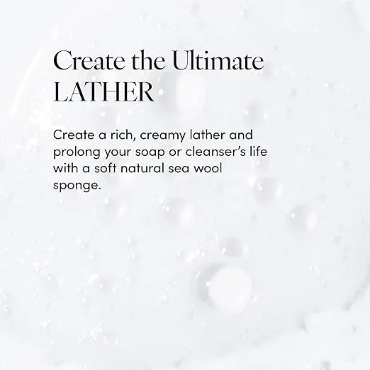 LATHER - Natural Sea Wool Sponge, 4-6" - Organic Exfoliating Body Scrubber - Soft, Gentle Cleansing - Hypoallergenic - All Skin Types - Florida Natural Loofah Sponge - Cruelty Free - Beauty & Skincare