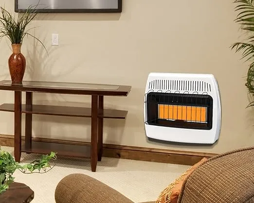 Dyna-Glo IR30NMDG-1 30,000 BTU Natural Gas Infrared Wall Heater