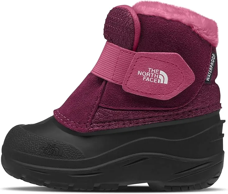The North Face Toddler Alpenglow II, 9, Boysenberry/TNF Black