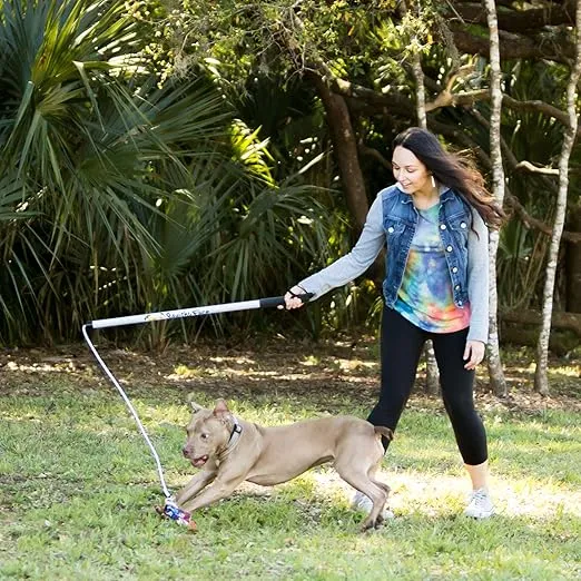 Flirt Pole V2 with Lure - Durable Dog Toy for Fun Obedience Training & Exercise, Purple/Blue Tie Dye, Regular - 36 inch for All Breed Sizes