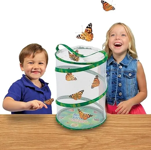 Insect Lore Life Cycle Lessons Bundle | Butterfly Kit with 2 Cups Live Caterpillars | Ladybug Land with 2 Tubes Live Ladybug Larvae | Reusable Habitats, 2 STEM Journals & More