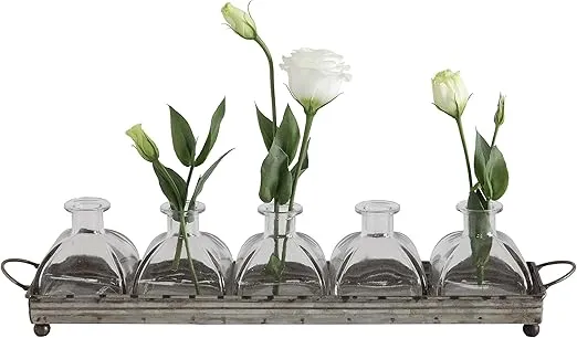 Decorative Iron Rectangle Tray with Handles & 5 Glass Vases