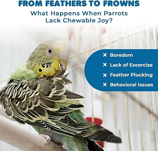 SunGrow Parrot Swing and Perch Bundle, Keep Birds from Hatching Plans for World Domination with Joyful Colorful Items for Love Birds, Conures, Cockatiels, Finches, Parakeets, 12 Pieces