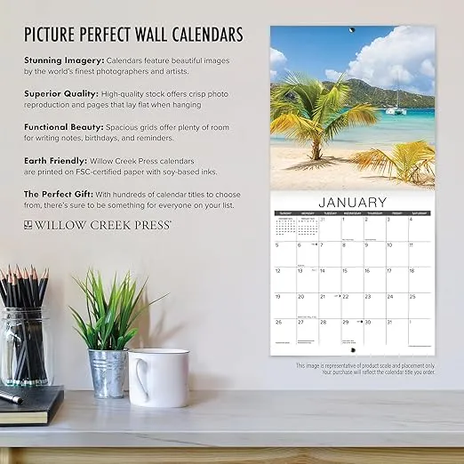 Willow Creek Press Art of the Quilt Monthly 2025 Wall Calendar (12" x 12")