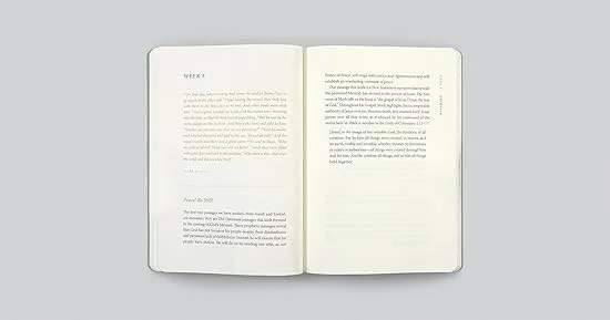 ESV Prayer Journal: 30 Days on Peace (Paperback)