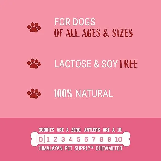 Bacon Bits Cookies|Lactose Free - Soy Free - Gluten Free - Wheat Free | USA Made | for All Breeds | 14 oz of All Natural, Baked, Crunchy Goodness
