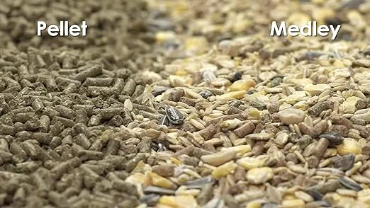 Kaytee Food from The Wild Natural Pet Guinea Pig Food, 4 Pound
