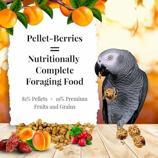 LAFEBER'S Pellet-Berries Pet Bird Food, Made with Non-GMO and Human-Grade Ingredients, for Parrots, 10 oz