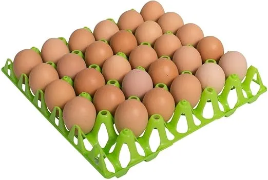 My Favorite Chicken 10 Pack Plastic Egg Flat Carton Tray Holds 30 Eggs Reusable Washable Green