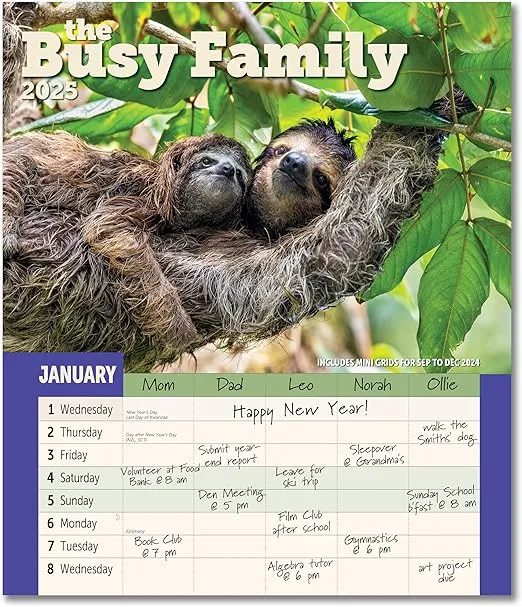 Busy Family Wall Calendar 2025, Monthly January-December 12'' x 14"