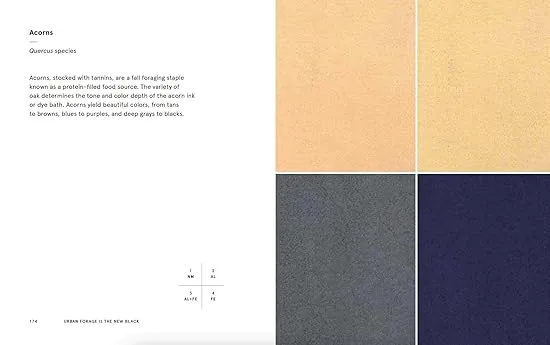 Natural Palettes: Inspiration from Plant-Based Color