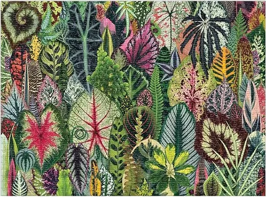 Galison Houseplant Jungle 1000 Piece Jigsaw Puzzle for Adults – Plant Jigsaw Puzzle with Mix of Succulents & Other Household Plants – Fun Indoor Activity, Multicolor