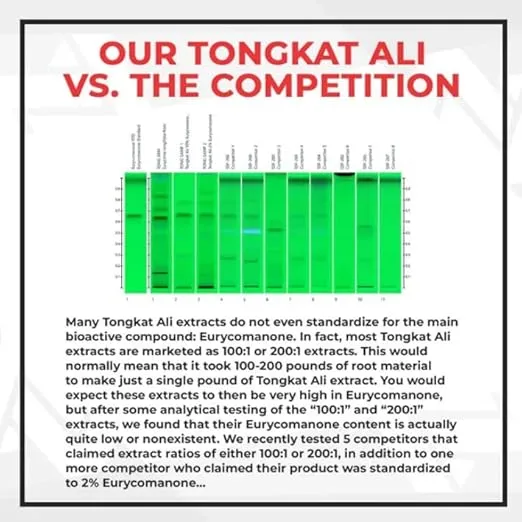 Nootropics Depot Tongkat Ali Extract Capsules | 100mg | 60 Count | 10% Eurycomanone by HPTLC | Eurycoma longifolia Root Extract