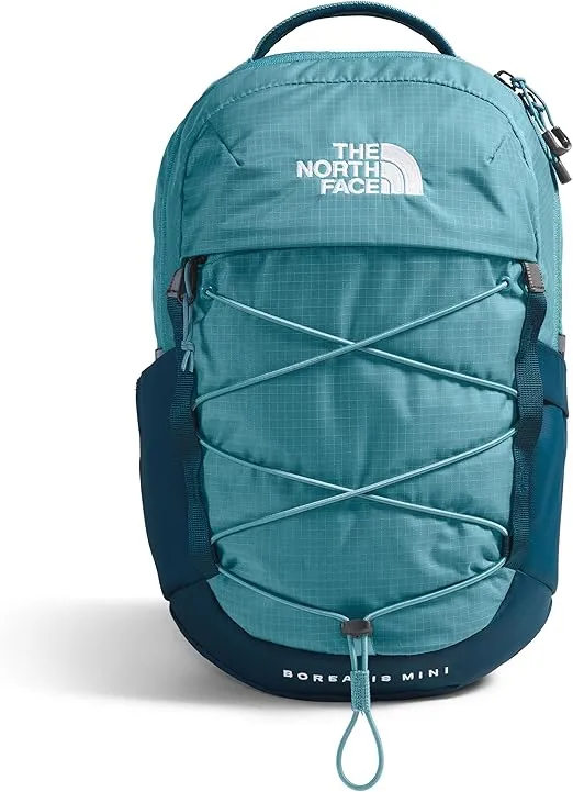 THE NORTH FACE 10L Mini Borealis Everyday Backpack, Algae Blue/Midnight Petrol, One Size