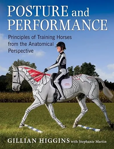 Posture and Performance: Principles of Training Horses from the Anatomical Perspective