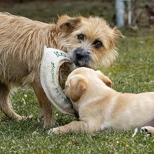 Eco-Fly-N-Tug Dog Frisbee - Handmade in USA with Natural Hemp Canvas & Wool - Eco-Friendly Frisbee Dog Toy & Tug of War Toy - Safe Ink, Small 6" x 6" x 0.25"