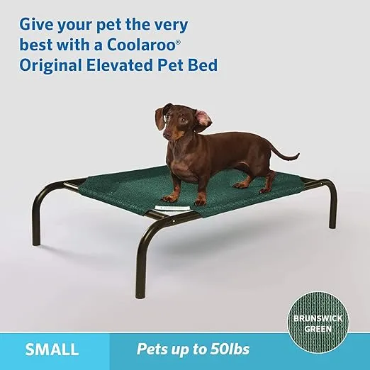 Coolaroo The Original Cooling Elevated Pet Bed,Brunswick Green, Small