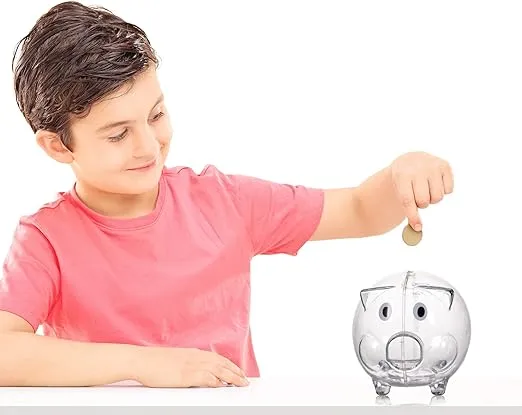 Windy City Novelties Mini Educational Kids Clear Plastic Piggy Bank