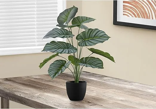 Monarch Specialties I 9577 Artificial Plant, 24" Tall, Calathea, Indoor, Faux, Fake, Table, Greenery, Potted, Real Touch, Decorative, Green Leaves, Black Pot