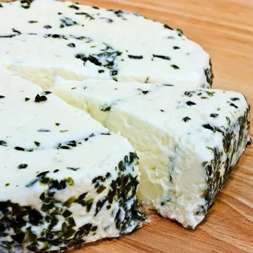 Cultures for Health Mesophilic Cheese Starter | 4 Packets Direct-Set Culture + 2 Rennet Tablets for Cheese Making | DIY Semi-Soft Fresh Cheese, Like Cheddar, Quark, Colby, Feta, Cottage Cheese, & More