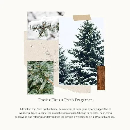 Thymes Frasier Fir Candle - Candle Tin - Scented Candle for Luxury Home Fragrance - Single-Wick Candle – Holiday Candles with Pine Needle Design (6.5 oz)