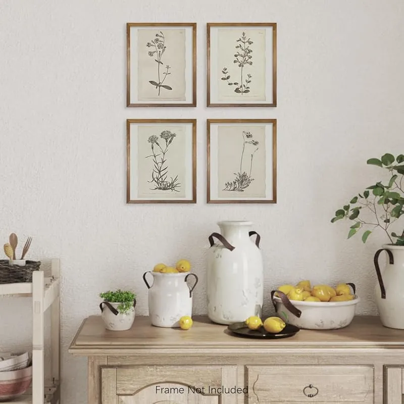 Vintage Botanical Plant Wall Art Prints - Neutral Minimalist Flower Posters Picture for Bedroom, Bathroom, Kitchen, Home Office - Beige Rustic Farmhouse Room Decor Aesthetic Boho Sketch UNFRAMED 11x14