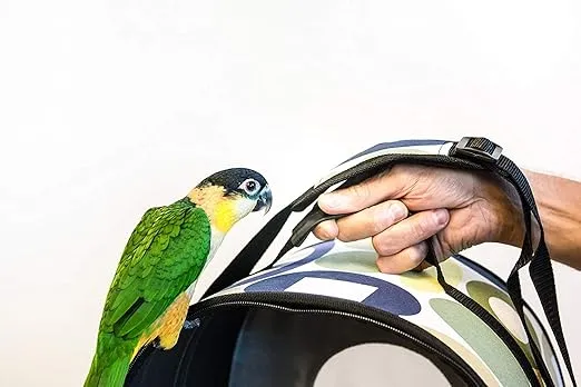 Prevue Pet Products Soft Sided Bird Travel Carrier with Perch Small, Multicolor