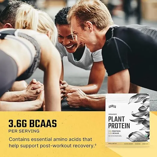 Levels Organic Plant Protein, 20G of Protein, No Artificials, Vanilla Batter, 2LB