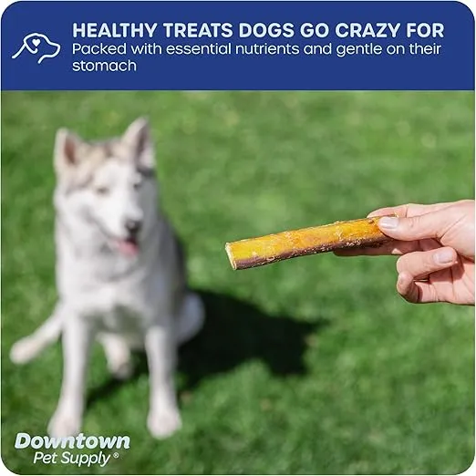 Downtown Pet Supply Bully Sticks for Dogs (12", 5-Pack, Jumbo) Non-GMO, Grain Free, Rawhide Free Dog Chews Long Lasting Pizzle Sticks - Low Odor Bully Sticks for Large Dogs