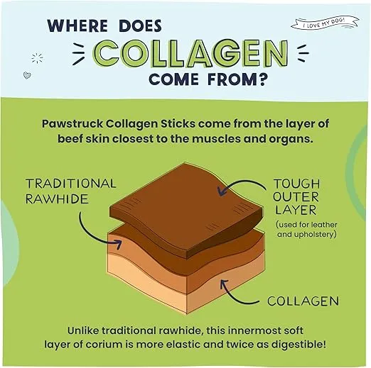 Pawstruck All Natural 11-12" Roasted Collagen Sticks for Dogs - Low Odor & Long Lasting Alternative to Bully Sticks and Rawhide Chews - Single Ingredient & Vet Approved - 5 Pack Packaging May Vary