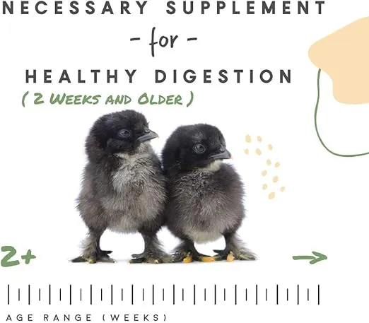 Manna Pro Chick Grit | Digestive Supplement for Young Poultry and Bantam Breed | Probiotics to Support Digestion | No Artificial Ingredients or Preservatives | Insoluble Crushed Granite | 25 Pounds