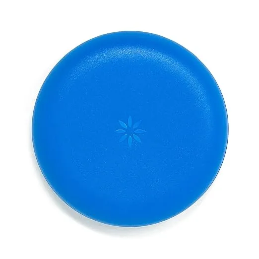 Invisalign Aligner and Retainer Case, Royal Blue