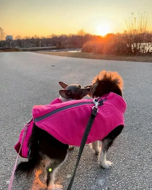 Gooby Zip Up Fleece Dog Sweater - Pink, Medium - Warm Pullover Fleece Step-in Dog Jacket with Dual D Ring Leash - Winter Small Dog Sweater - Dog Clothes for Small Dogs Boy and Medium Dogs
